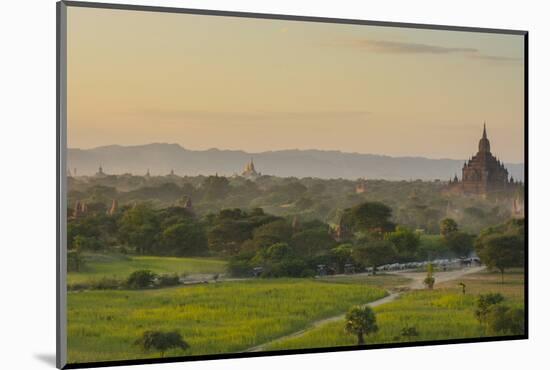 Myanmar. Bagan. Horse Carts and Cattle Walk the Roads at Sunset-Inger Hogstrom-Mounted Photographic Print