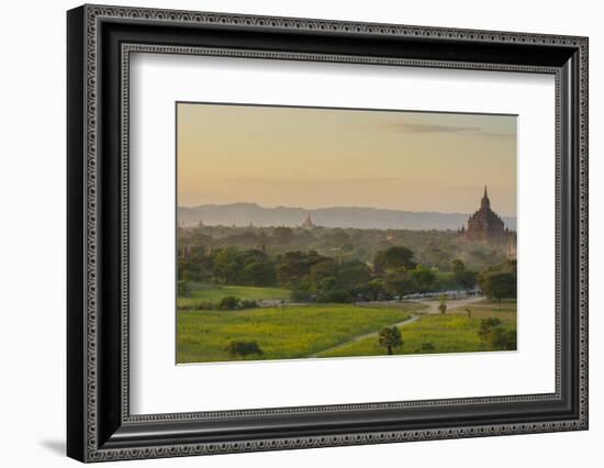 Myanmar. Bagan. Horse Carts and Cattle Walk the Roads at Sunset-Inger Hogstrom-Framed Photographic Print