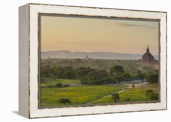 Myanmar. Bagan. Horse Carts and Cattle Walk the Roads at Sunset-Inger Hogstrom-Framed Premier Image Canvas