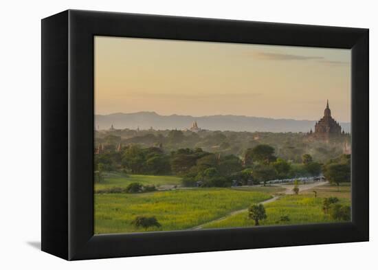 Myanmar. Bagan. Horse Carts and Cattle Walk the Roads at Sunset-Inger Hogstrom-Framed Premier Image Canvas