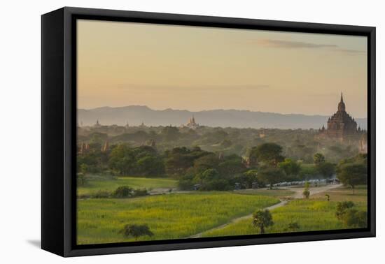 Myanmar. Bagan. Horse Carts and Cattle Walk the Roads at Sunset-Inger Hogstrom-Framed Premier Image Canvas