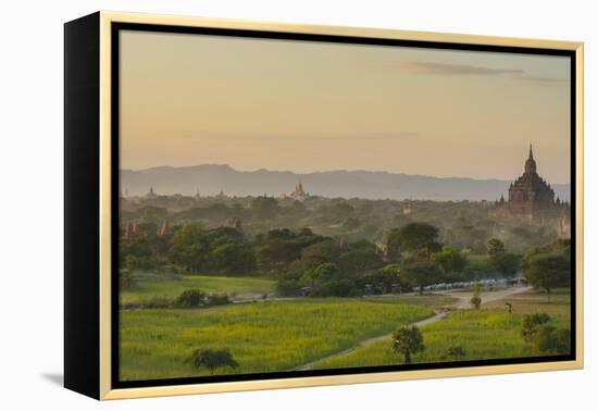 Myanmar. Bagan. Horse Carts and Cattle Walk the Roads at Sunset-Inger Hogstrom-Framed Premier Image Canvas