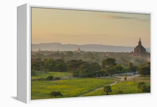 Myanmar. Bagan. Horse Carts and Cattle Walk the Roads at Sunset-Inger Hogstrom-Framed Premier Image Canvas
