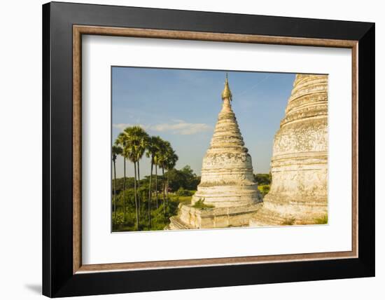 Myanmar. Bagan. Minochantha Stupa Group and Palm Trees Beyond-Inger Hogstrom-Framed Photographic Print