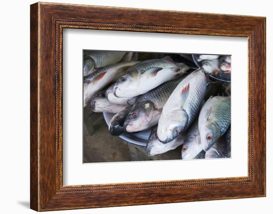 Myanmar. Bagan. Nyaung U. Fish for Sale in the Market-Inger Hogstrom-Framed Photographic Print