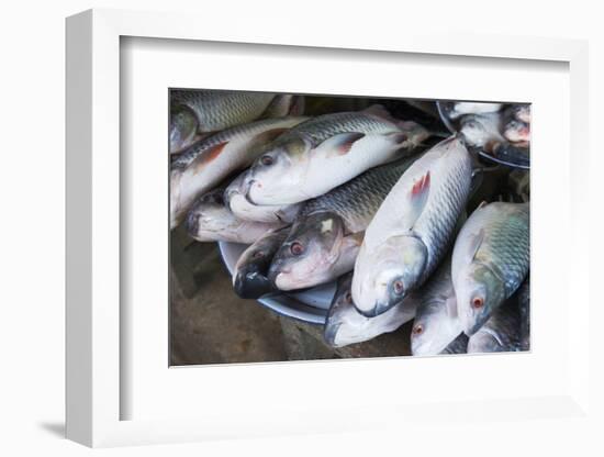 Myanmar. Bagan. Nyaung U. Fish for Sale in the Market-Inger Hogstrom-Framed Photographic Print