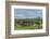 Myanmar, Bagan. Stupas Dot the Plains of Bagan-Brenda Tharp-Framed Photographic Print