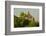 Myanmar. Bagan. Thatbyinnyu Temple-Inger Hogstrom-Framed Photographic Print