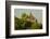 Myanmar. Bagan. Thatbyinnyu Temple-Inger Hogstrom-Framed Photographic Print