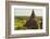 Myanmar. Bagan. the Plain of Bagan Is Dotted with Hundreds of Temples-Inger Hogstrom-Framed Photographic Print