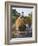 Myanmar, Burma, Bagan, A Farmer Takes Home an Ox-Cart Load of Rice Straw for His Livestock-Nigel Pavitt-Framed Photographic Print