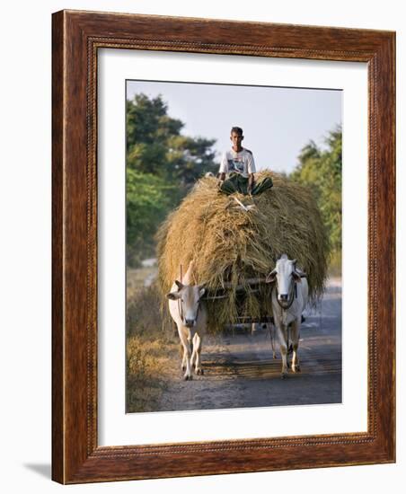 Myanmar, Burma, Bagan, A Farmer Takes Home an Ox-Cart Load of Rice Straw for His Livestock-Nigel Pavitt-Framed Photographic Print