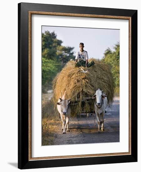 Myanmar, Burma, Bagan, A Farmer Takes Home an Ox-Cart Load of Rice Straw for His Livestock-Nigel Pavitt-Framed Photographic Print