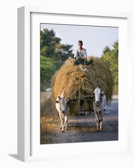 Myanmar, Burma, Bagan, A Farmer Takes Home an Ox-Cart Load of Rice Straw for His Livestock-Nigel Pavitt-Framed Photographic Print