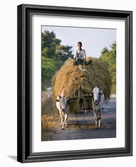 Myanmar, Burma, Bagan, A Farmer Takes Home an Ox-Cart Load of Rice Straw for His Livestock-Nigel Pavitt-Framed Photographic Print