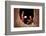 Myanmar (Burma), Shan State, Inle Lake, Nyaungshwe, Shwe Yaunghwe Kyaung Monastery-Michele Falzone-Framed Photographic Print