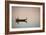 Myanmar Commute-Art Wolfe-Framed Photographic Print