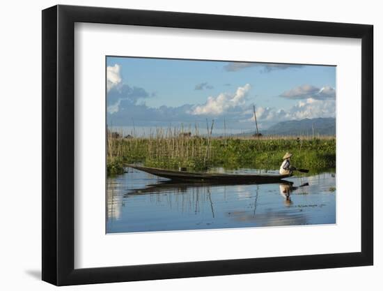 Myanmar, Inle Lake. Woman Rowing Her Dugout Past Tomatoes Growing Hydroponically on Inle Lake-Brenda Tharp-Framed Photographic Print