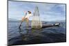 Myanmar, Inle Lake. Young Fisherman Demonstrates a Traditional Rowing Technique-Brenda Tharp-Mounted Photographic Print