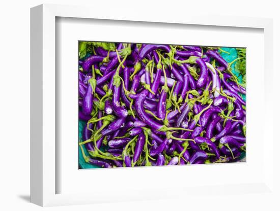 Myanmar. Mandalay. Eggplant for Sale in the Market-Inger Hogstrom-Framed Photographic Print