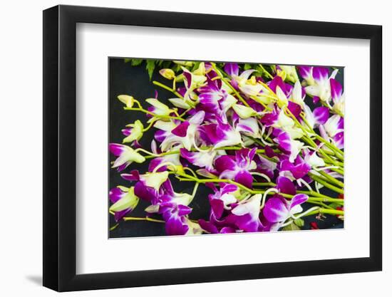 Myanmar. Mandalay. Orchids for Sale in the Market-Inger Hogstrom-Framed Photographic Print