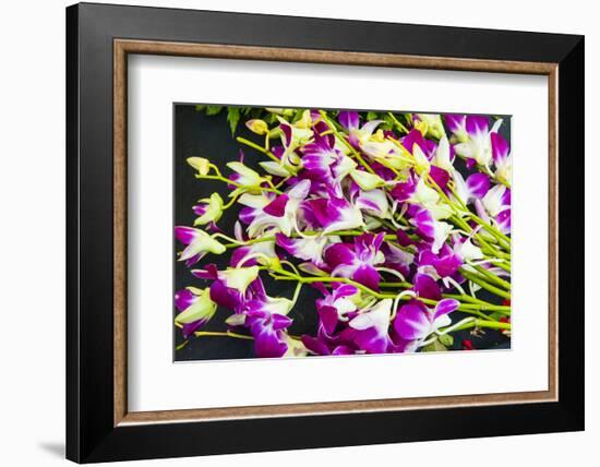 Myanmar. Mandalay. Orchids for Sale in the Market-Inger Hogstrom-Framed Photographic Print