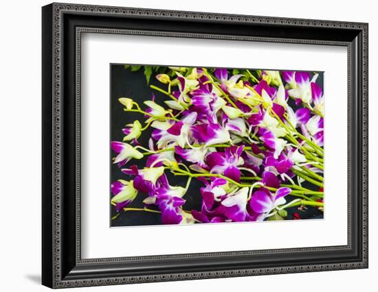 Myanmar. Mandalay. Orchids for Sale in the Market-Inger Hogstrom-Framed Photographic Print