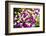 Myanmar. Mandalay. Orchids for Sale in the Market-Inger Hogstrom-Framed Photographic Print