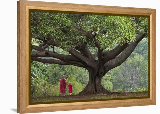 Myanmar, Pindaya. Buddhist Monks under Giant Banyan Tree-Jaynes Gallery-Framed Premier Image Canvas