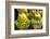 Myanmar. Yangon. Botataung Pagoda. Offerings of Fruit for Sale-Inger Hogstrom-Framed Photographic Print