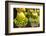 Myanmar. Yangon. Botataung Pagoda. Offerings of Fruit for Sale-Inger Hogstrom-Framed Photographic Print