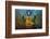 Myanmar, Yangon. Buddha Statue in Shwedagon Temple-Jaynes Gallery-Framed Photographic Print