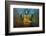 Myanmar, Yangon. Buddha Statue in Shwedagon Temple-Jaynes Gallery-Framed Photographic Print