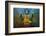 Myanmar, Yangon. Buddha Statue in Shwedagon Temple-Jaynes Gallery-Framed Photographic Print