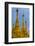 Myanmar. Yangon. Shwedagon Pagoda. Golden Spires Gleam at Twilight-Inger Hogstrom-Framed Photographic Print