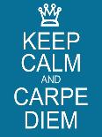 Keep Calm and Seize the Day-mybaitshop-Framed Art Print