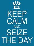 Keep Calm and Seize the Day-mybaitshop-Framed Art Print