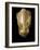 Mycenaean Art : Gold Lion's Head Rhyton-null-Framed Photographic Print