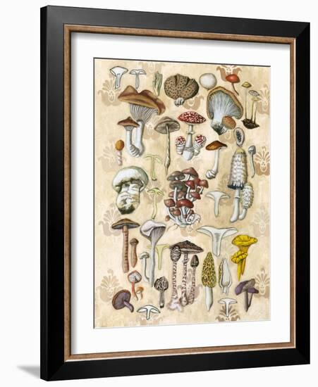 Mycological Study-Naomi McCavitt-Framed Art Print