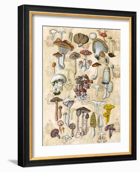 Mycological Study-Naomi McCavitt-Framed Art Print