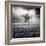 Mydog-Luis Beltran-Framed Photographic Print