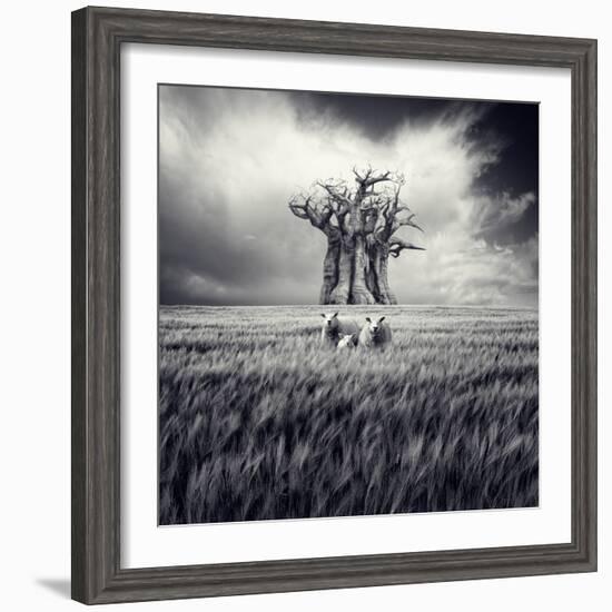 Mydog-Luis Beltran-Framed Photographic Print