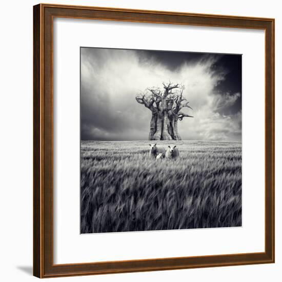 Mydog-Luis Beltran-Framed Photographic Print