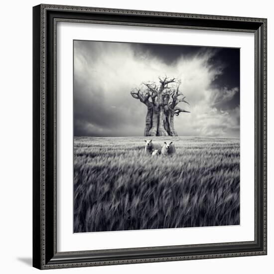 Mydog-Luis Beltran-Framed Photographic Print