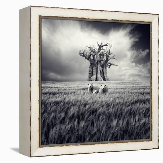 Mydog-Luis Beltran-Framed Premier Image Canvas