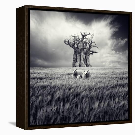 Mydog-Luis Beltran-Framed Premier Image Canvas