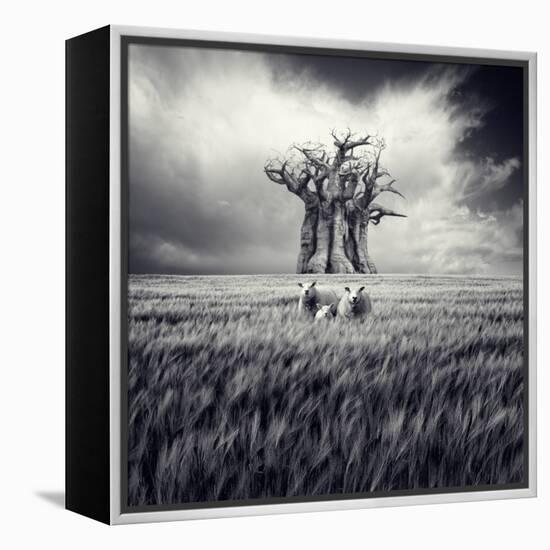 Mydog-Luis Beltran-Framed Premier Image Canvas