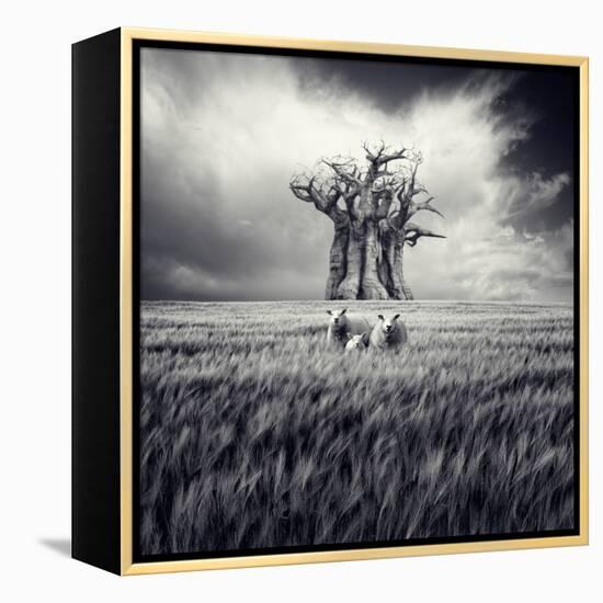 Mydog-Luis Beltran-Framed Premier Image Canvas