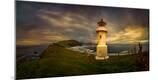 Photographic Print