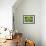 Mykonos, Greece, succulent plant-Julien McRoberts-Framed Photographic Print displayed on a wall